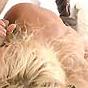 Blonde Shelby gets fucked by Yvon and he gets a blowjob