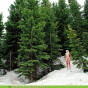 Sweet Nature Nudes presents Alpine Nude Snow Shoot